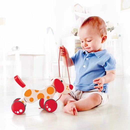 Hape Pepe Pull Along/FSC - Hape - Image 3
