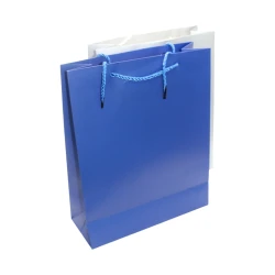Gift Bag High-Quality Cardboard Paper, Eco-Friendly, Elegant Design with Strong Handle for All Occasions 14x21 cm