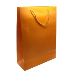 Cardboard Paper Bag 297 × 420 mm