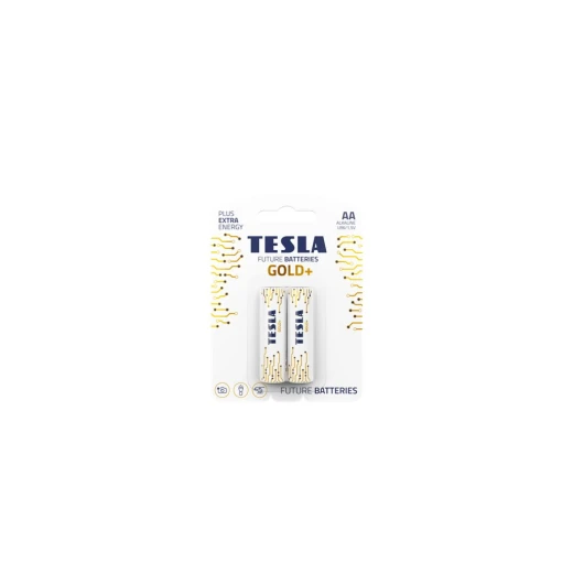 Tesla Gold AA Batteries- 10×12×2 pcs