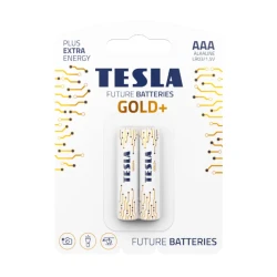Tesla Gold AAA - 10×12×2 pcs