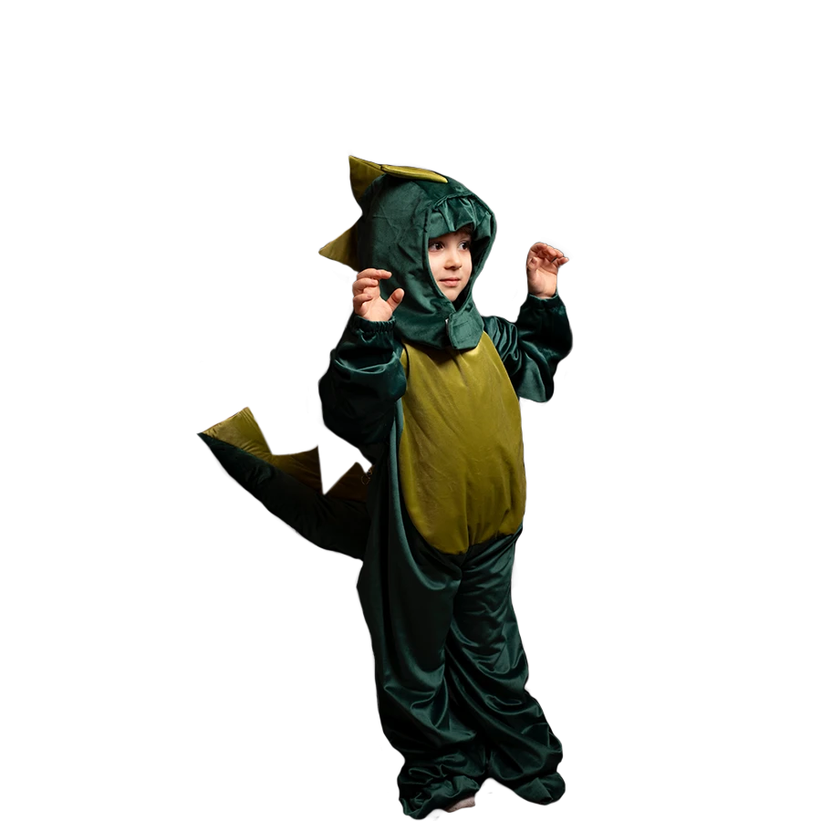 Dinosaur Costume for Kids – Available in Multiple Sizes