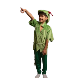 Peter Pan-Inspired Kids Costume – Green Tunic and Hat with Feather