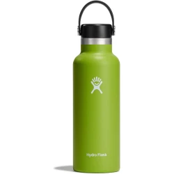 Hydro Flask 18 oz Standard Mouth Insulated Water Bottle with Flex Cap (532 ml) – Seagrass
