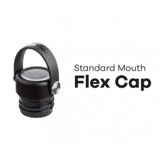 Hydro Flask 18 oz Standard Mouth Insulated Water Bottle with Flex Cap (532 ml) – Snapper - Hydro Flask - Image 3