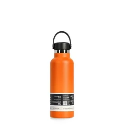 Hydro Flask 18 oz Standard Mouth Insulated Water Bottle with Flex Cap (532 ml) – Mesa