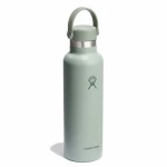 Hydro Flask 21 oz Standard Mouth Insulated Water Bottle with Flex Cap (621 ml) – Agave - Hydro Flask