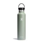 Hydro Flask 24 oz Standard Mouth Insulated Water Bottle with Flex Cap (710 ml) – Agave - Hydro Flask