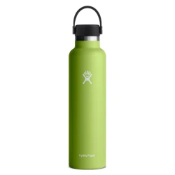 Hydro Flask 24 oz Standard Mouth Insulated Water Bottle with Flex Cap (710 ml) – Seagrass