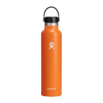 Hydro Flask 24 oz Standard Mouth Insulated Water Bottle with Flex Cap (710 ml) – Mesa - Hydro Flask