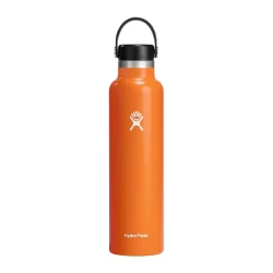 Hydro Flask 24 oz Standard Mouth Insulated Water Bottle with Flex Cap (710 ml) – Mesa