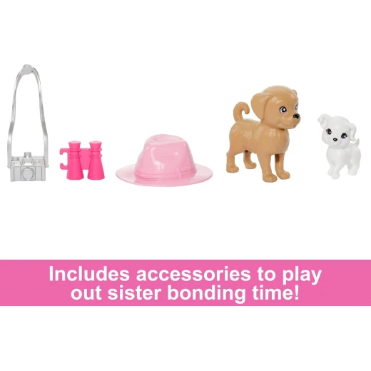 Mattel Barbie &amp; Stacie Doll Set with Blonde Hair &amp; Blue Eyes for Kids, 2 Pet Dogs, Summer Clothes - Barbie - Image 6