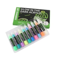 Art Ranger Glow in the Dark Acrylic Paint Set 10x30ml for Canvas