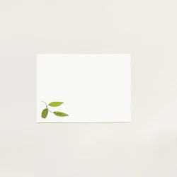 Small Gift Card with Elegant Envelope – 15×10 cm – Perfect for All Occasions