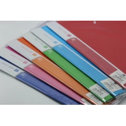 A4 Display Book – 30 Transparent Pockets, Flexible Cover in Multiple Colors, Ideal for File Organization &amp; Presentations