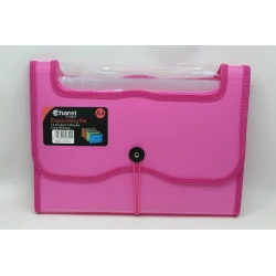 Chanyi Expanding File CY9655 – A4 Size with 12 Dividers &amp; 13 Pockets