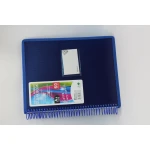 Chanxi Spiral Binder Clear Book – Extra Large Capacity with Elastic Closure - Sstationery
