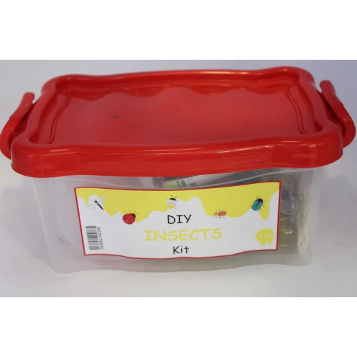 DIY INSECTS Educational Activity Kit for Kids (Ages 10+)
