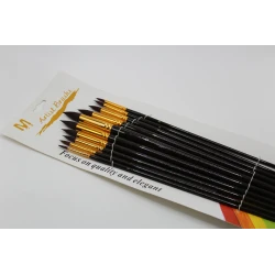 Artist Brushes Set