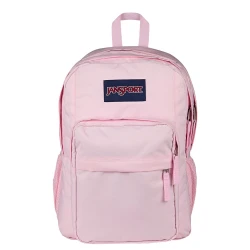 Big Day Pack Backpack – Pink Ice | JanSport