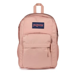 Big Day Pack Backpack – Misty Rose | JanSport