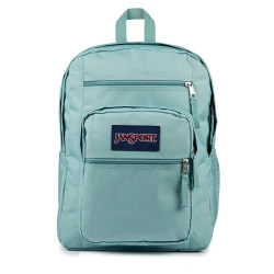 Cool Student Backpack – Faded Sage | JanSport